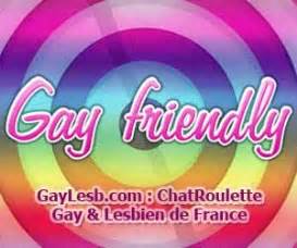 chatorulette gay|Chatroulette .